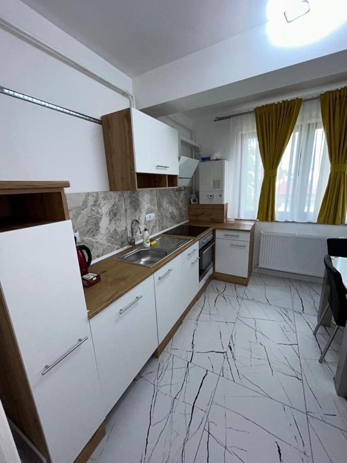 Marvellous Aparthotel With Master Apartments Suceava Dış mekan fotoğraf